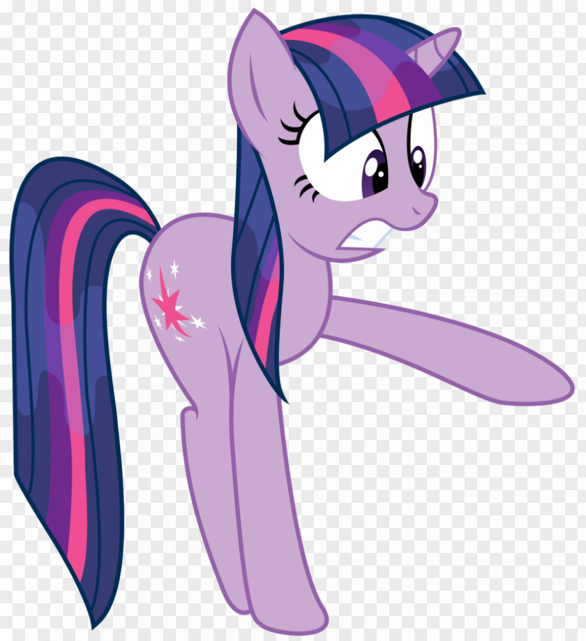 My Little Pony Twilight Sparkle Pony: Friendship Is Magic Fandom Rainbow Dash Applejack PNG