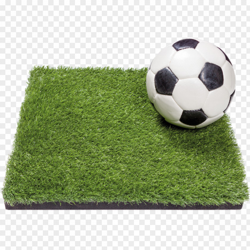 Strong Symbol Artificial Turf Lawn Garden Football Pitch Balcony PNG