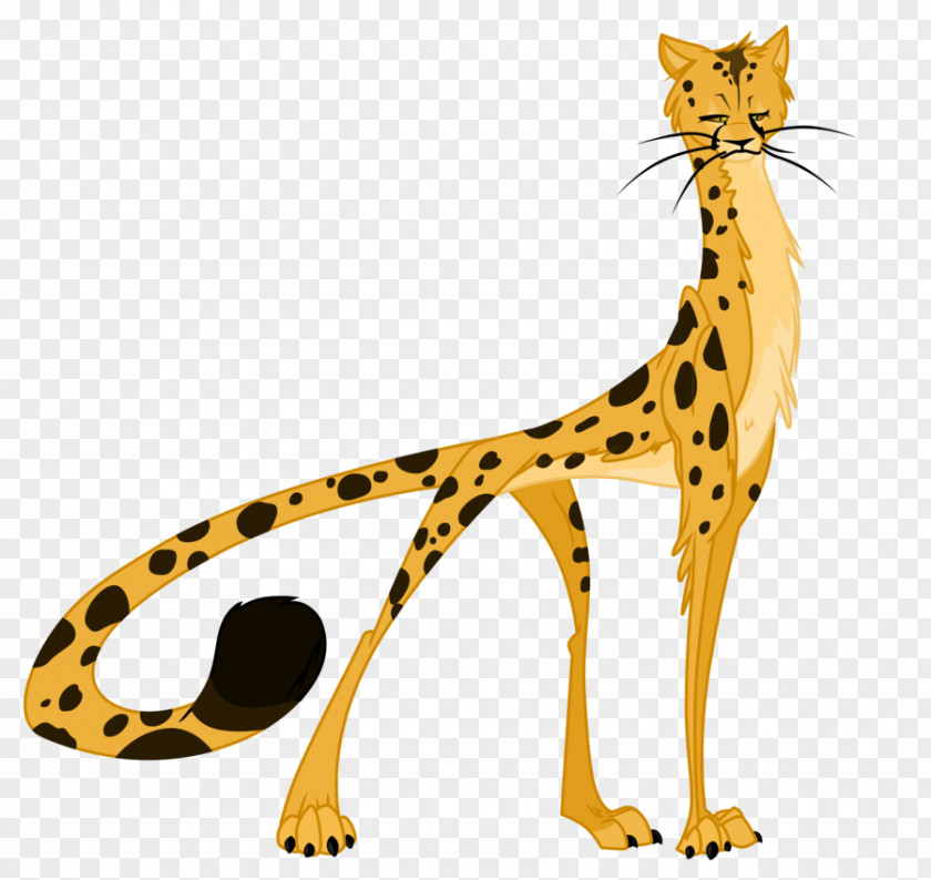 Cheetah Cat Felidae Pony Drawing PNG