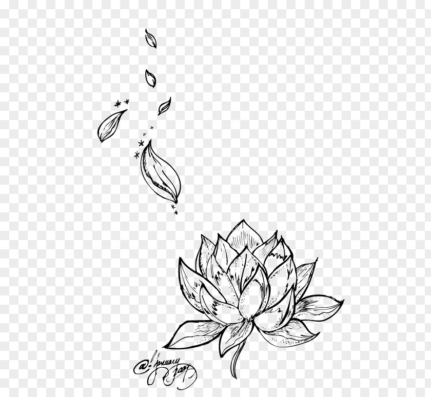 Lotus Egyptian Nelumbo Nucifera Tattoo Flower Drawing PNG