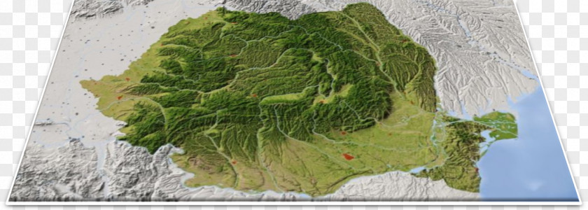Natural Hazard Terrain Ilfov County Map Geography Landform PNG