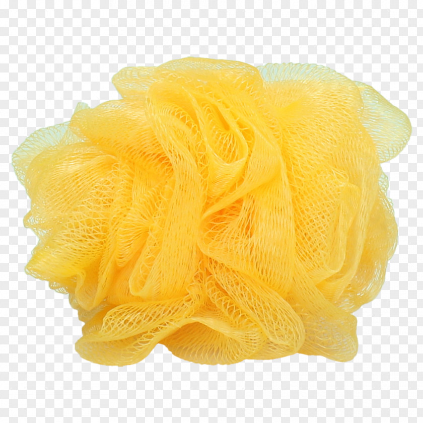 Oranje Cut Flowers Petal PNG