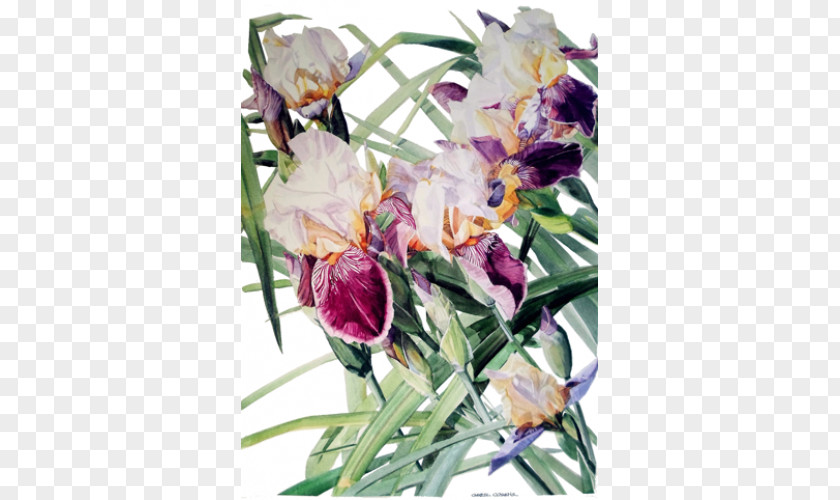 Painting Watercolor Floral Design Watercolor: Flowers Art PNG