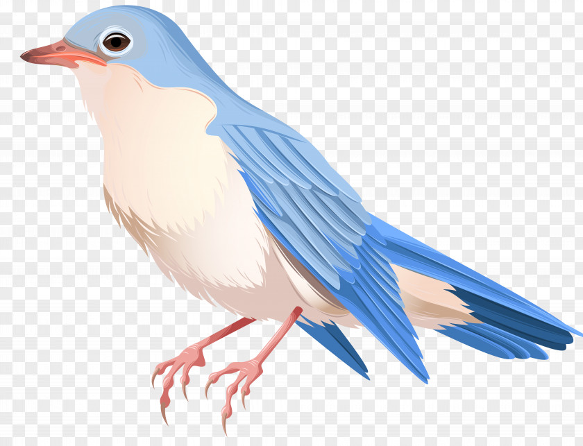 Paper Birds Bird Clip Art PNG