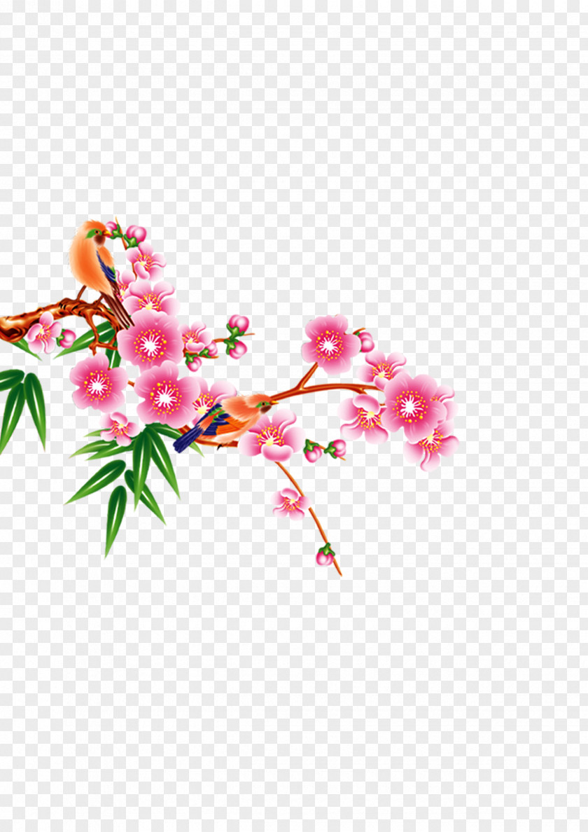 Plum Flower Birthday Greeting Card PNG