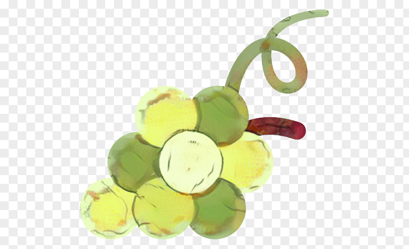 Seedless Fruit Plant Grape Cartoon PNG