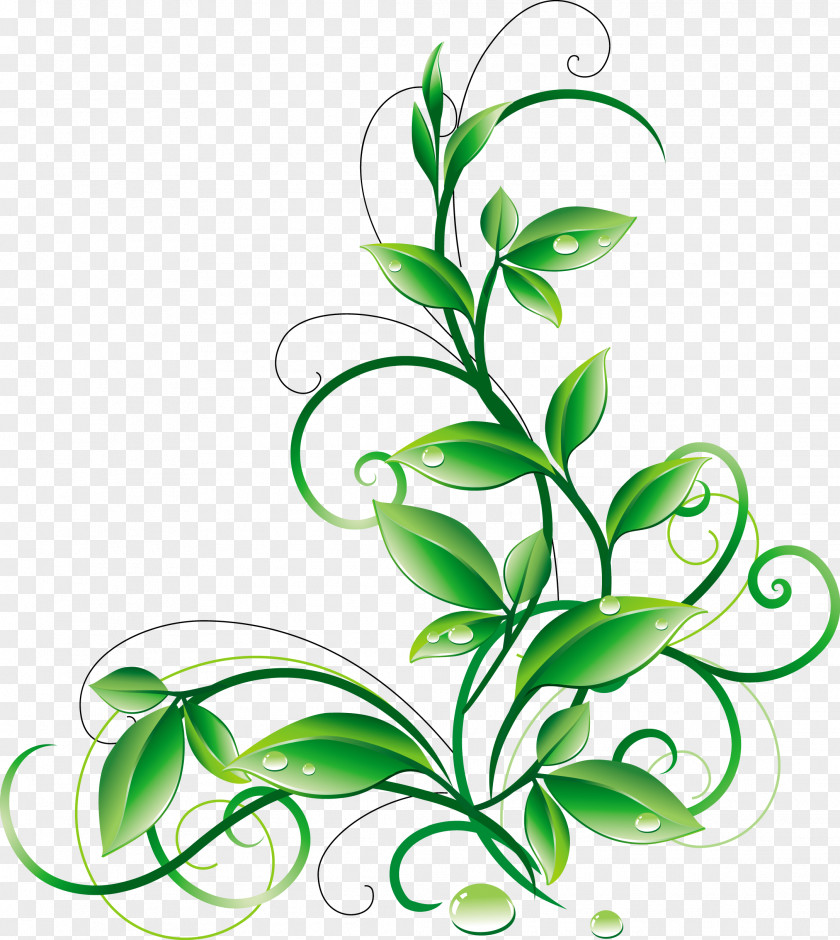Green Leaves Leaf Flower Clip Art PNG