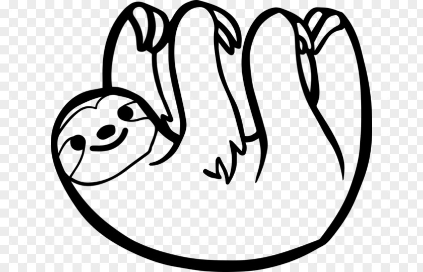 Pygmy Three-toed Sloth Drawing Bear Two-toed PNG
