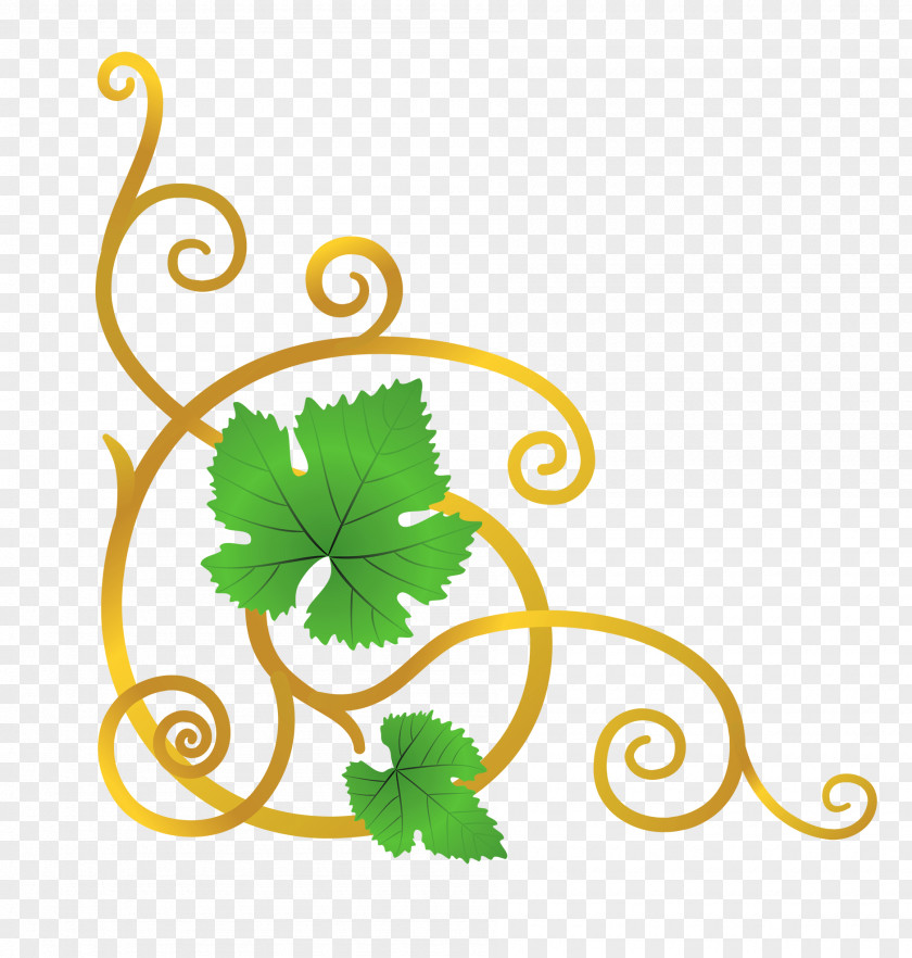 Vine Cliparts Transparent Grape Clip Art PNG