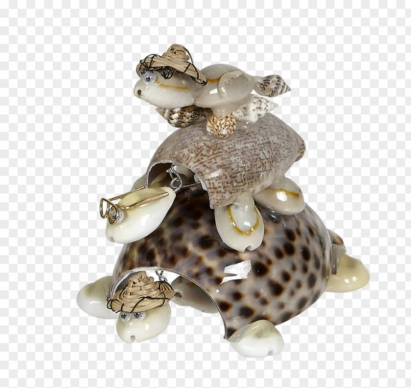 Figurine Seashell Interior Design Services Sea Urchin Beach PNG