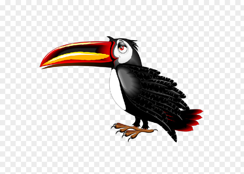 Toucan Bird Cartoon Clip Art PNG