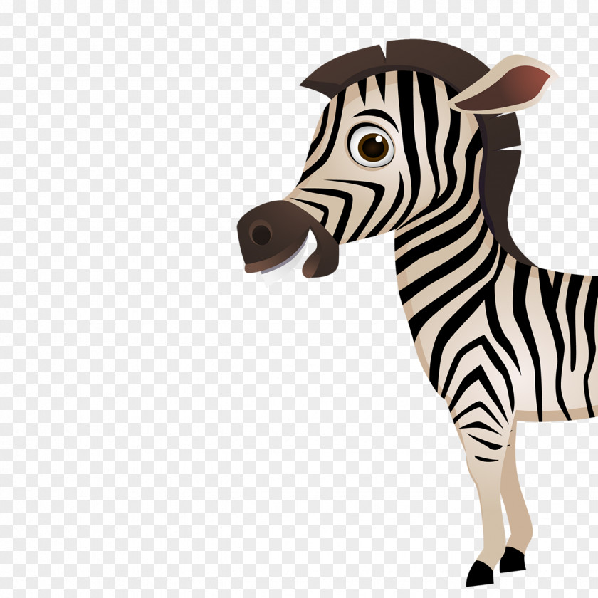 Zebra Icon PNG