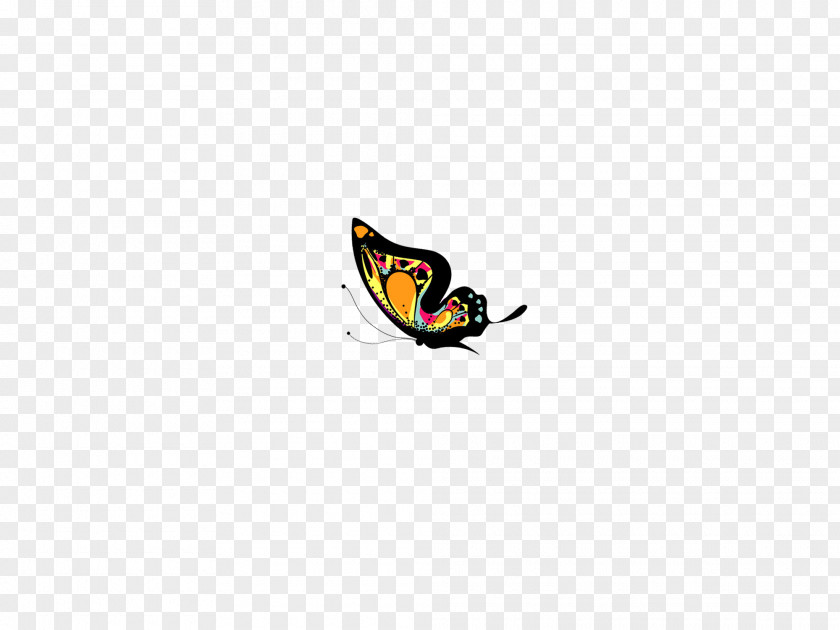 Butterfly Insect Illustration PNG