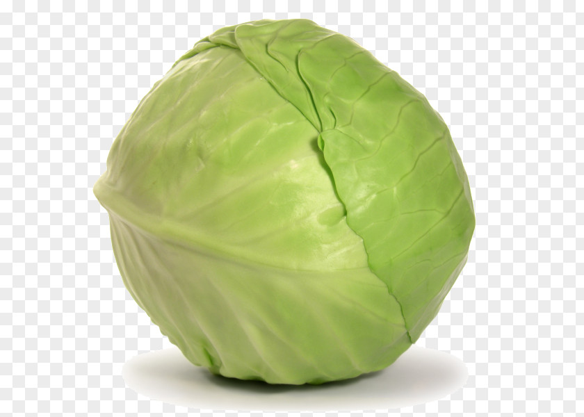 Cabbage Leaf Vegetable Torshi Green PNG