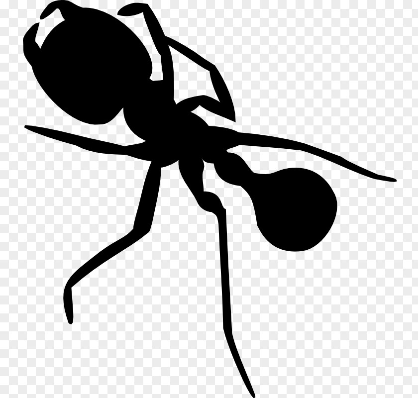 Clip Art Insect Silhouette Line PNG