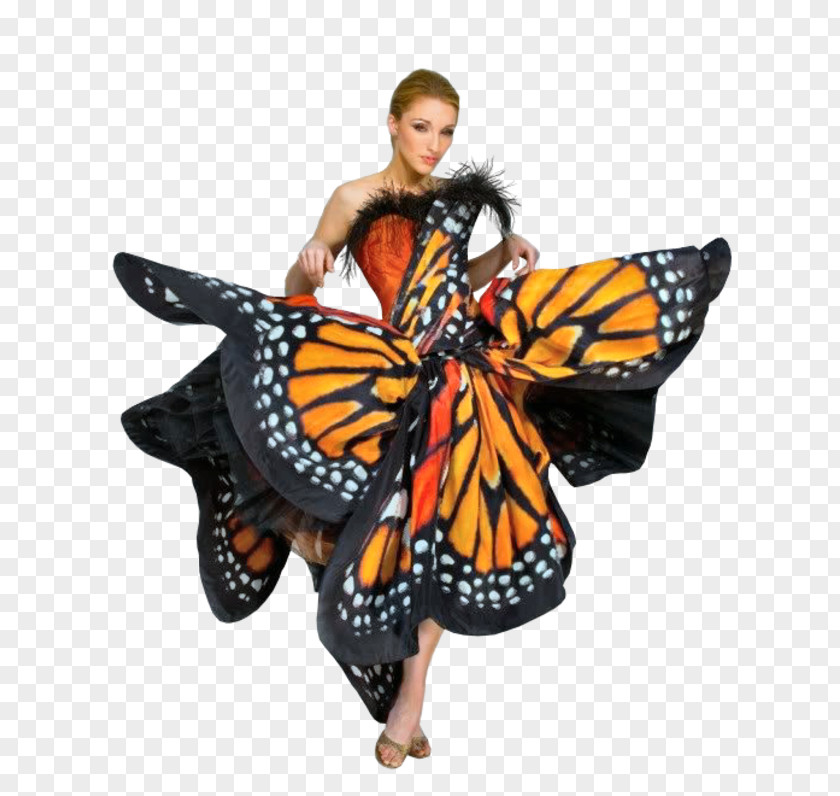 Butterfly Robe Dress Costume Gown PNG