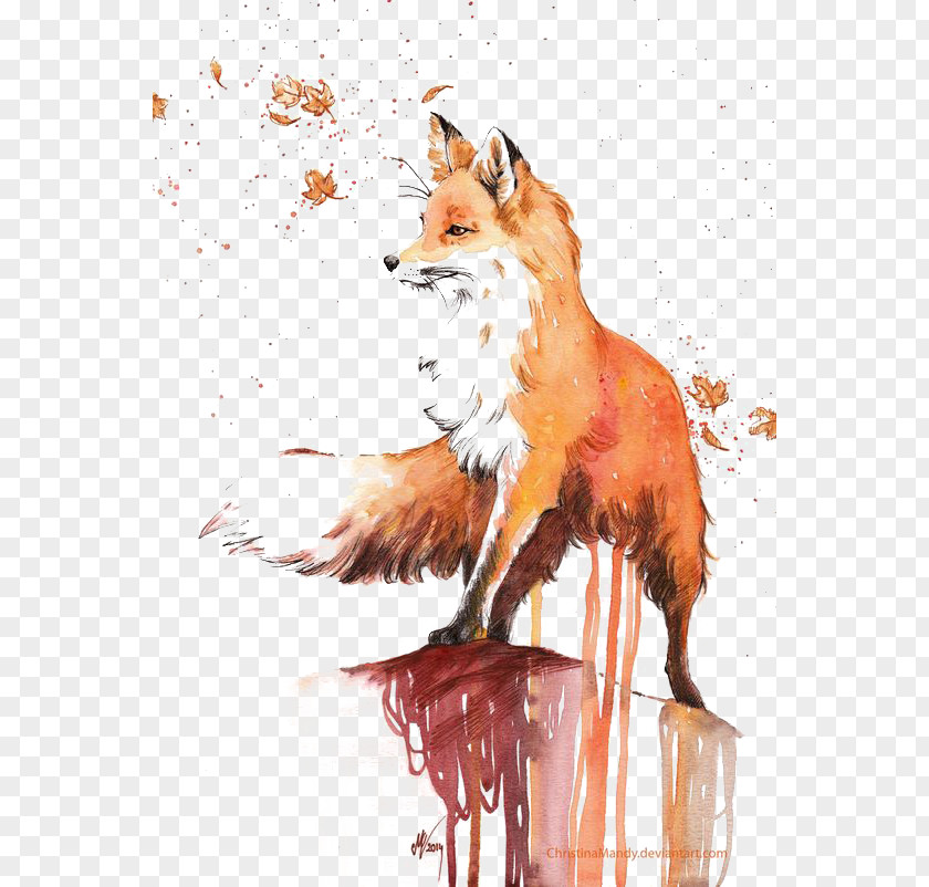 Fox Watercolor Painting Red Drawing PNG