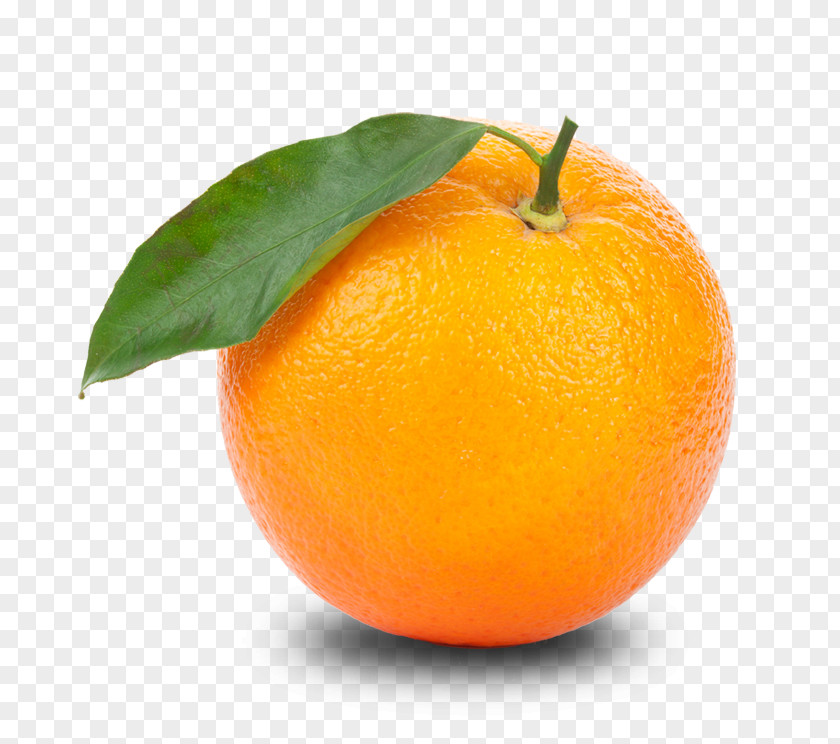 Orange Clipart Tangerine Clip Art PNG