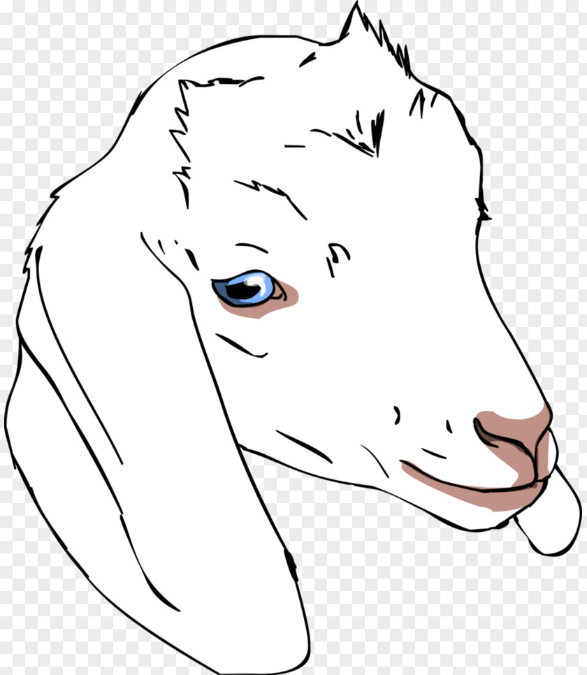 Painting Anglo-Nubian Goat Boer Drawing PNG