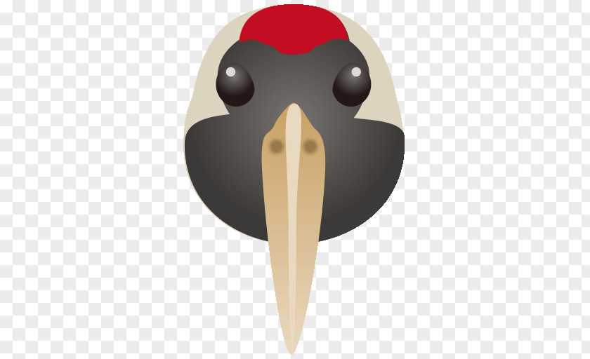Penguin Goose Cygnini Duck Bird PNG