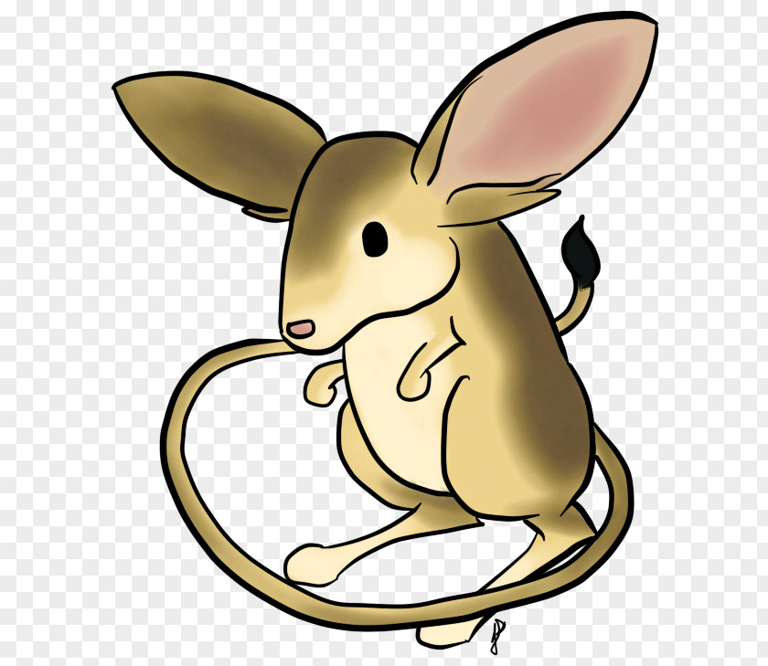 Rabbit Domestic Hare Macropodidae Clip Art PNG