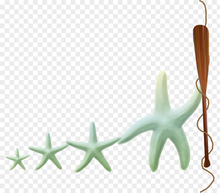 Thanksgiving Hand Stars Starfish Clip Art PNG
