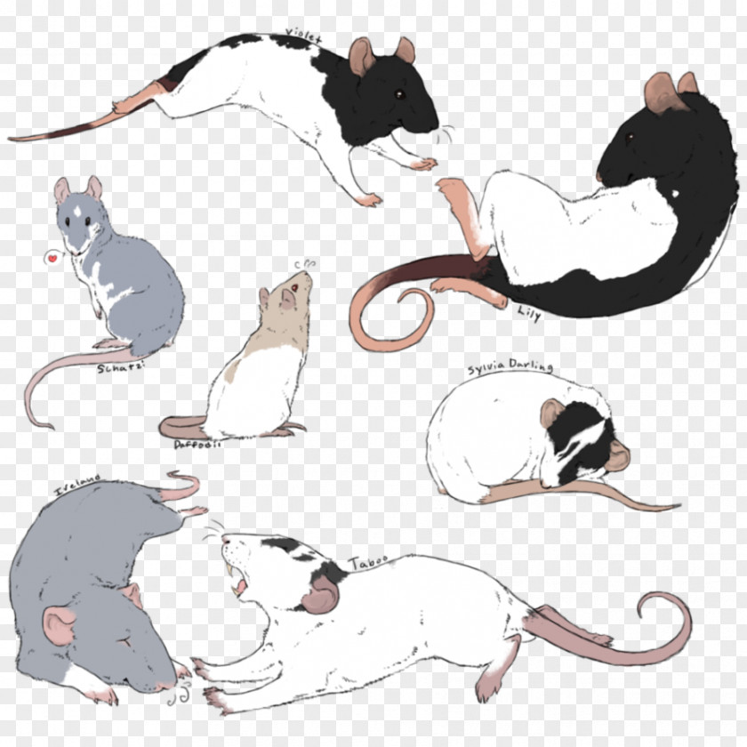 Wallpaper Funk Groove Cat Rat Drawing Sketch Watercolor Painting PNG
