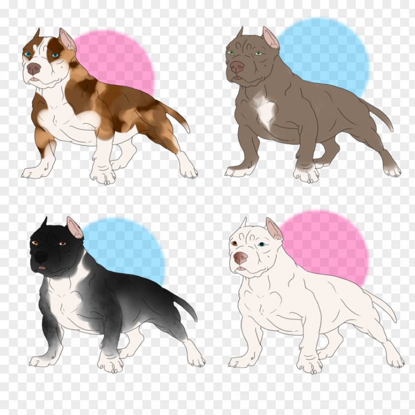 Cat Boston Terrier Dog Breed Non-sporting Group (dog) PNG
