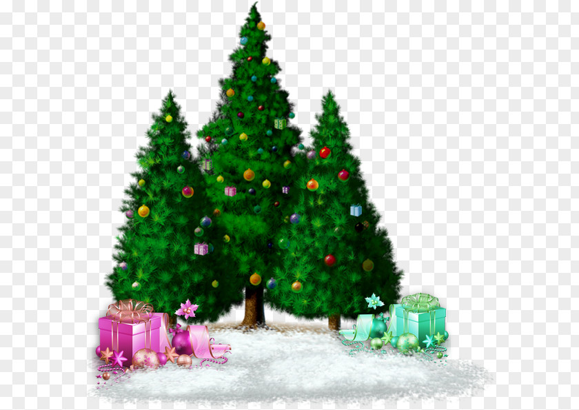 Christmas Tree Ornament Advent Holiday PNG