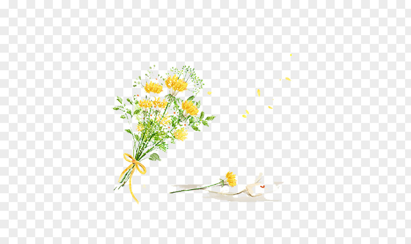 Chrysanthemum Bouquet Graphics Floral Design Flower Illustration PNG