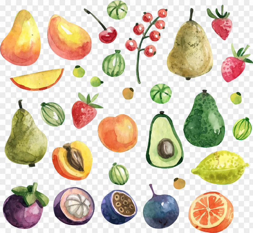 Green Avocado Fruit Watercolor Painting Apricot PNG