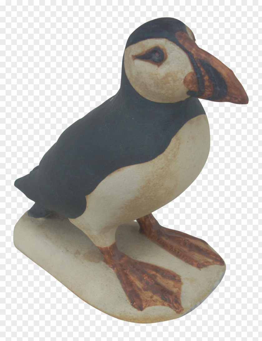 Puffins Bertanduk Puffin Water Bird Beak Fauna PNG