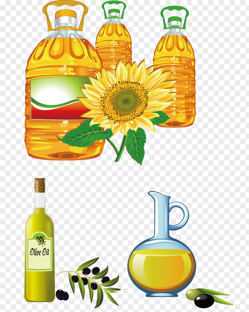 Vector Oil Sunflower Cooking Clip Art PNG