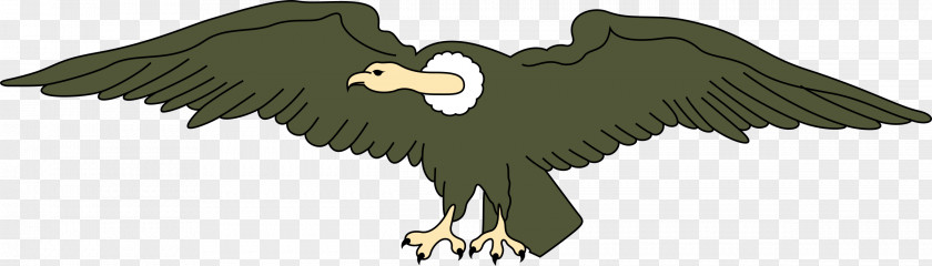 Vulture Flag Of Ecuador Condor Clip Art PNG