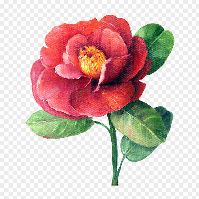 Watercolor Flower Art Painting Decoupage Floral Design PNG