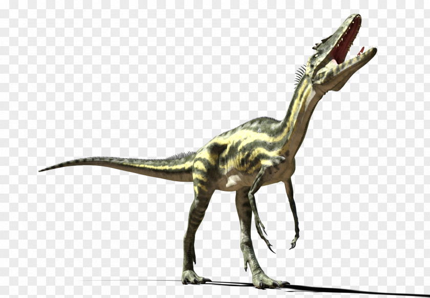 Ypg Velociraptor Tyrannosaurus Fauna Extinction Animal PNG