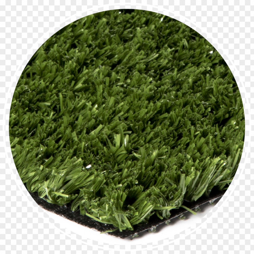 Artificial Turf Master Your Short Game Lawn Bentgrass Synthetic Fiber PNG
