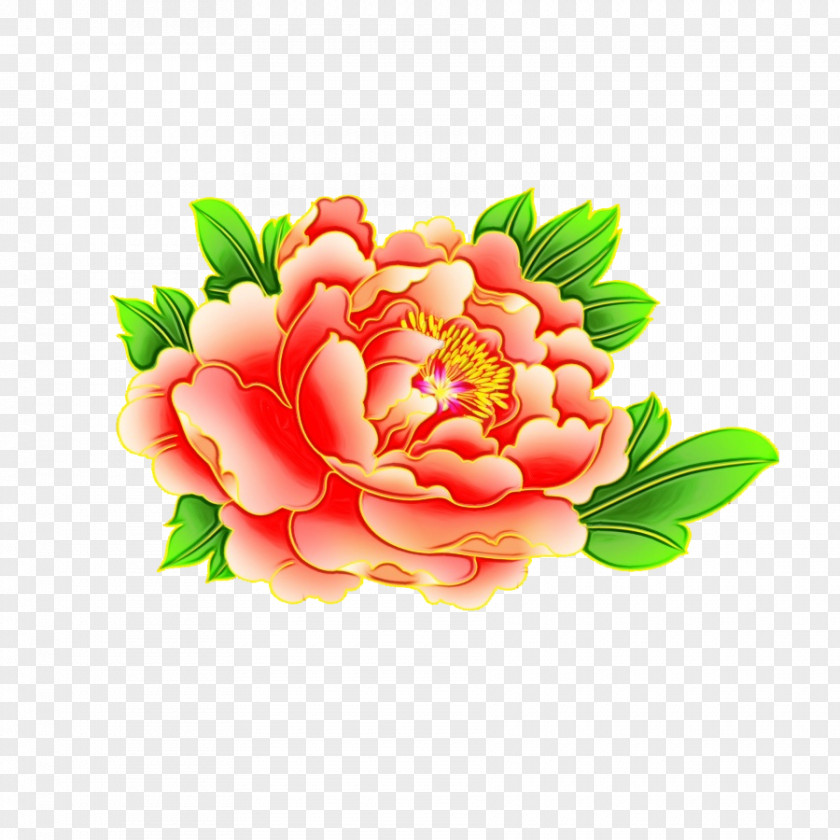 Floral Design PNG