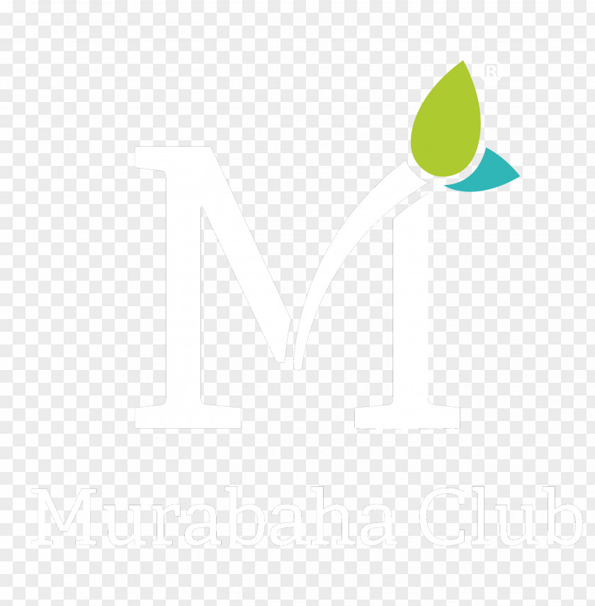 Logo Brand Line Angle Font PNG