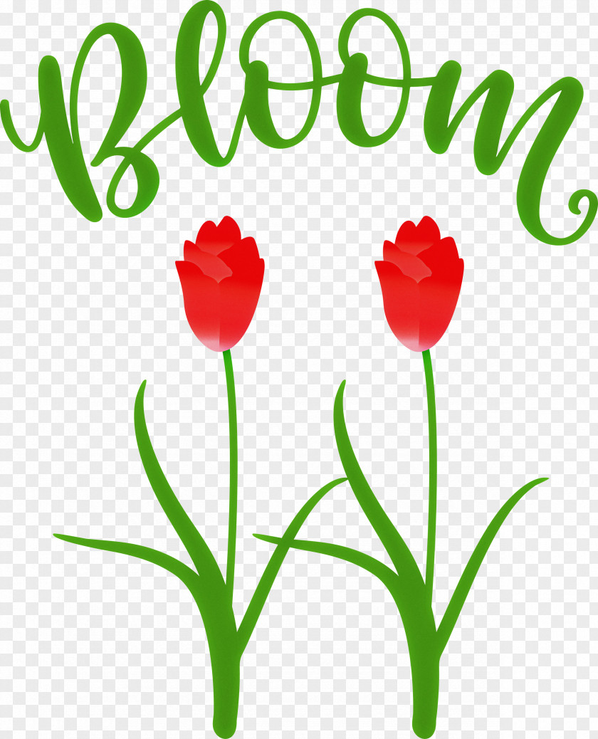 Bloom Spring Flower PNG