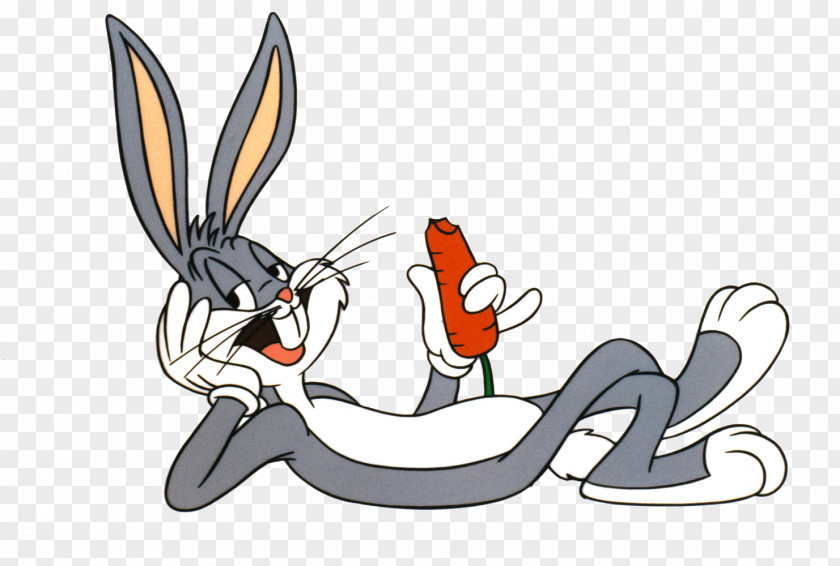 Bugs Bunny Looney Tunes Animation Merrie Melodies Cartoon PNG