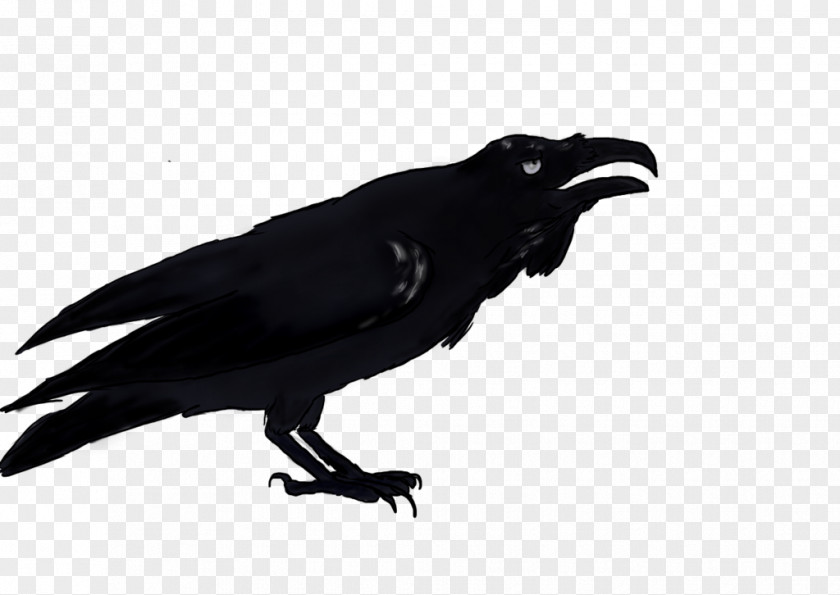 Crow American New Caledonian Common Raven PNG