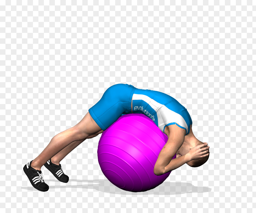 Exercise Balls Pilates Hyperextension Crunch PNG