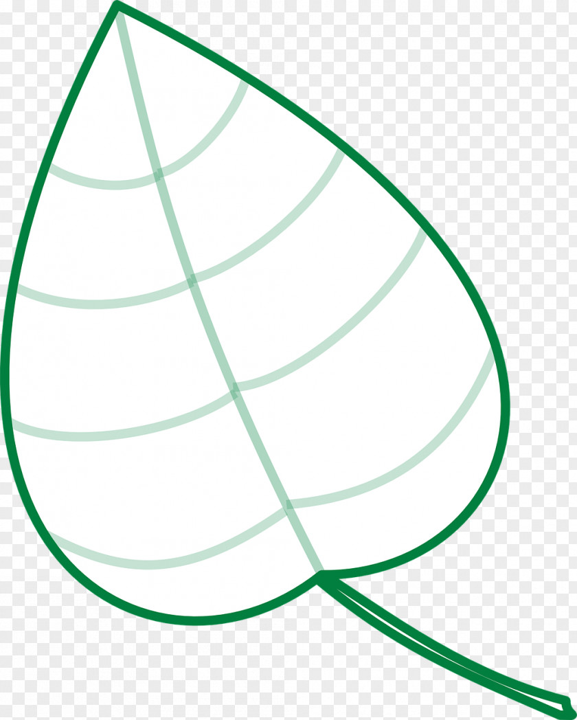 Leaf Vector Graphics Line Drawing PNG
