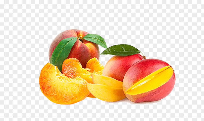Mango Clip Art Transparency Fruit PNG