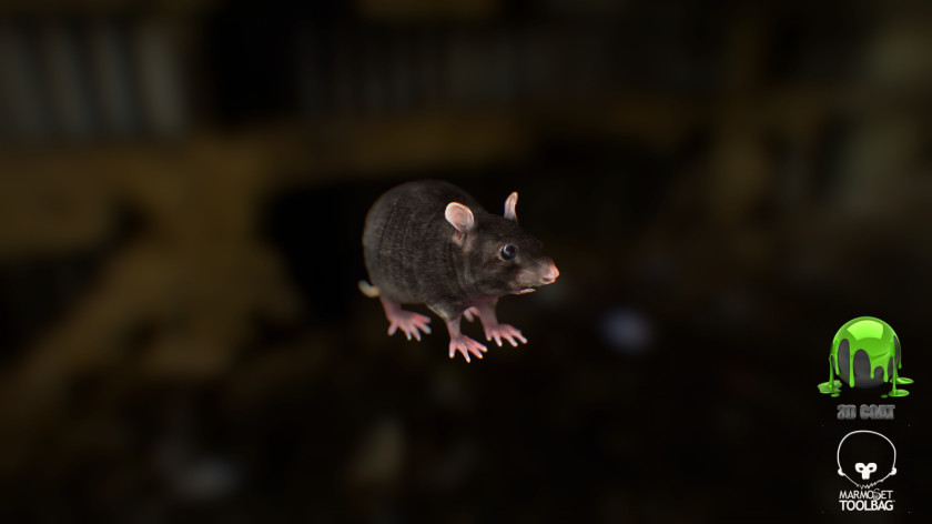 Rat & Mouse Murids Low Poly Rendering PNG