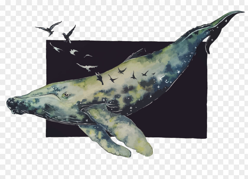 Vector Hand-painted Whale Baleen Gulls PNG