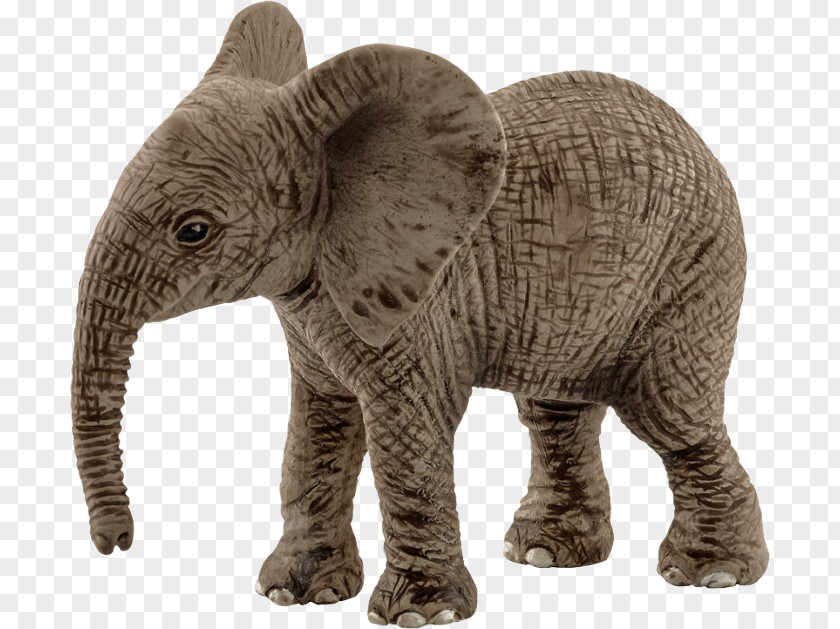 African Elephant Schleich Elephantidae Asian Calf PNG