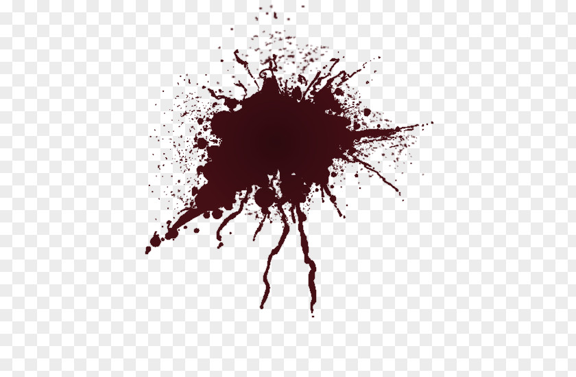 Blood Clip Art Bloodstain Pattern Analysis Transparency PNG