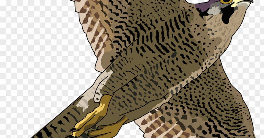 Cartoon Eagle Falcon Peregrine Clip Art Hawk Bird PNG